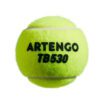 توپ تنیس آرتنگو ARTENGO TB 530 بسته چهار تایی - Image 4