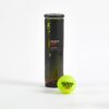 توپ تنیس دکتلون کویکما - DECATHLON Tennis Speed Pro - پک چهار تایی - Image 3