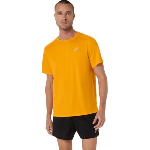 تیشرت تنیس مردانه اسیکس - ASICS SILVER SS TOP - زرد تیشرت تنیس مردانه اسیکس - ASICS SILVER SS TOP - زرد